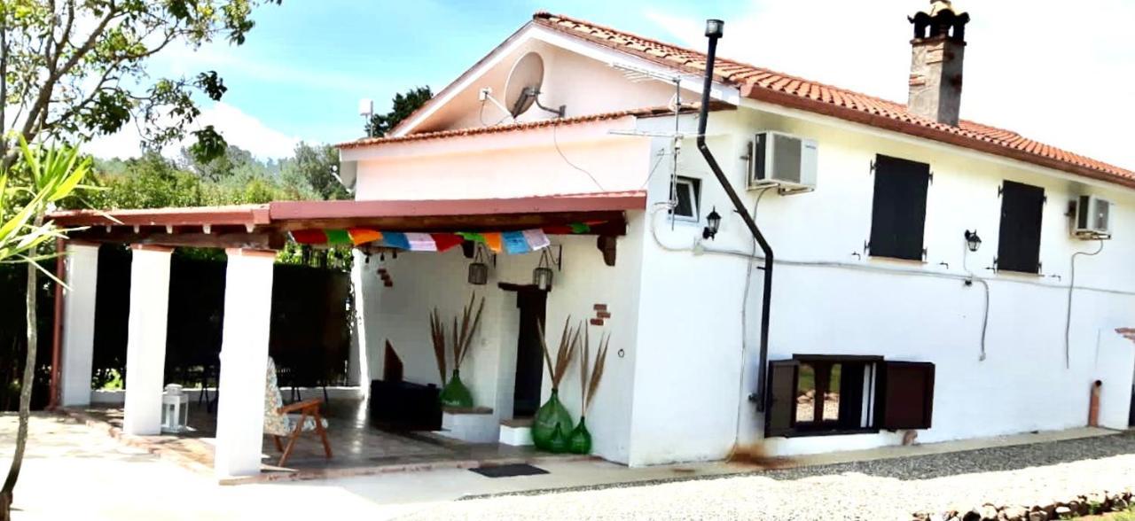 Appartement La Maison Blanche *